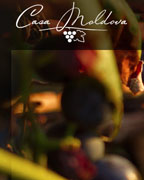 casa moldova public/images/partenaires/deroulantvincasamoldova.jpg